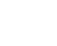 Bud Eco Mobile Detailing Logo